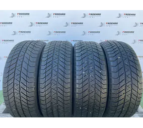 205/55 R16 Platin RP70 téli gumi 6-6,5mm - Mobil Gumis